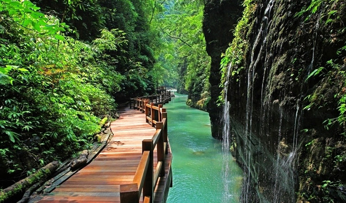 重庆避暑凉快的地方,重庆人都去贵州哪里避暑最好