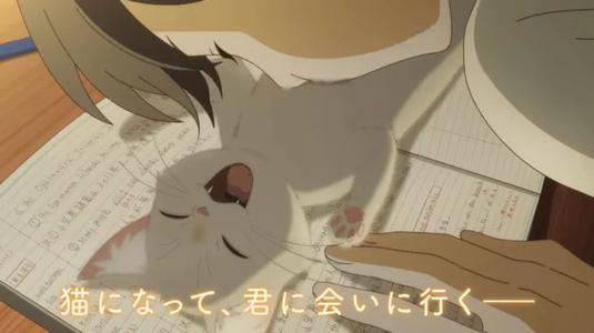 2020年动漫剧场版有哪些,2020年剧场版