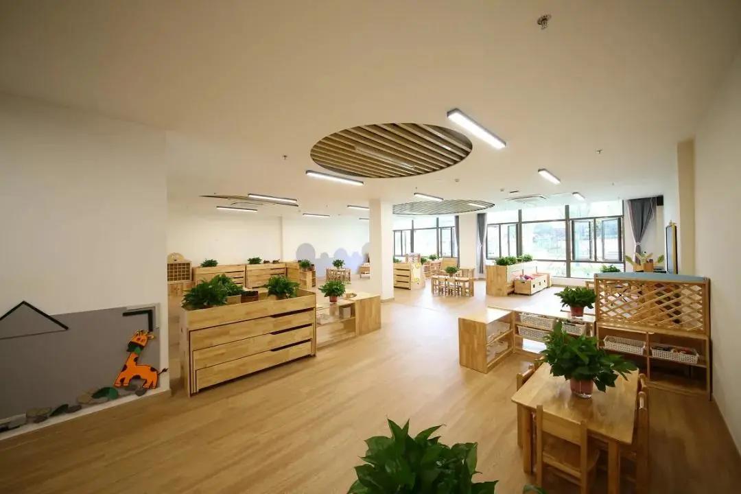 南京市高淳区教育发展前景,高淳区的教育规划