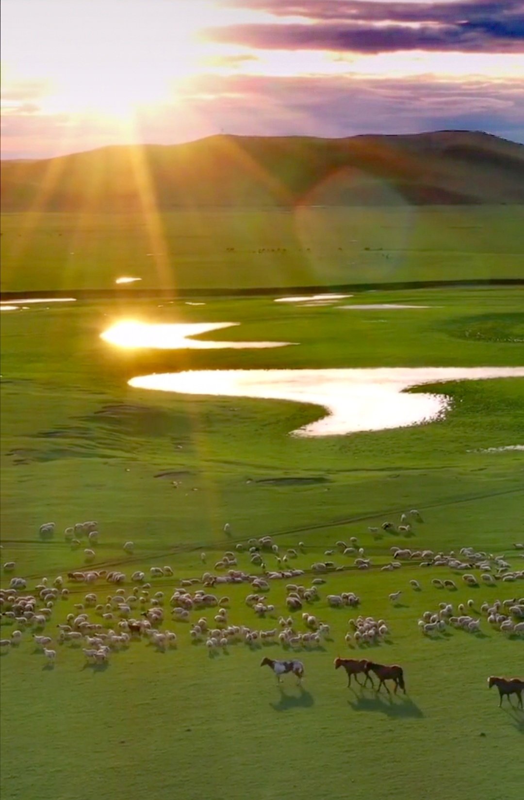 内蒙呼和浩特市内游,五一内蒙古呼和浩特及周边游