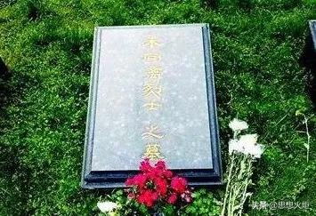 国民党军统是怎么个机构,国民党军统是干嘛的