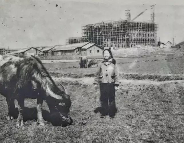 再见，梅山！再见了，我的9424……