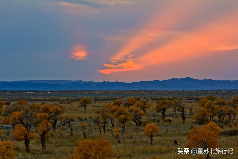 克拉玛依友好城市,克拉玛依最差城市