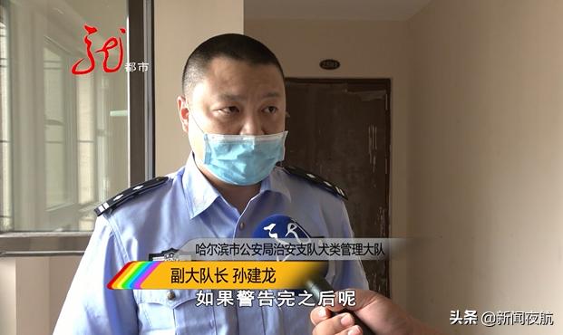 狗叫声此起彼伏,狗叫的此起彼伏