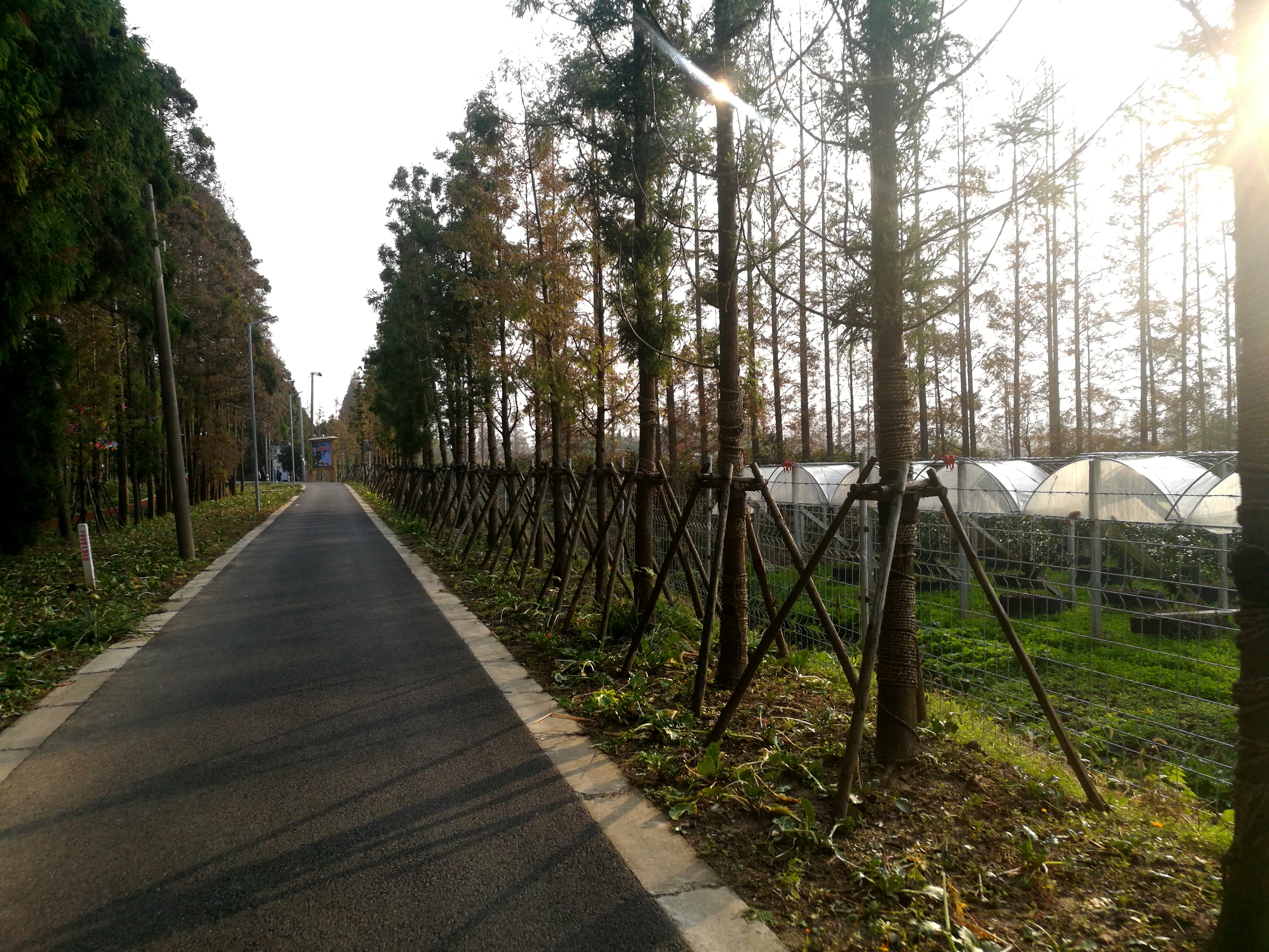 上海长兴岛郊野公园可以看见海吗,长兴岛郊野公园离上海站有几公里