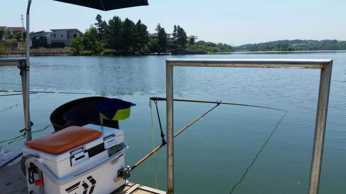 佳钓尼官方旗舰店美人鱼,佳钓尼赛事鱼护