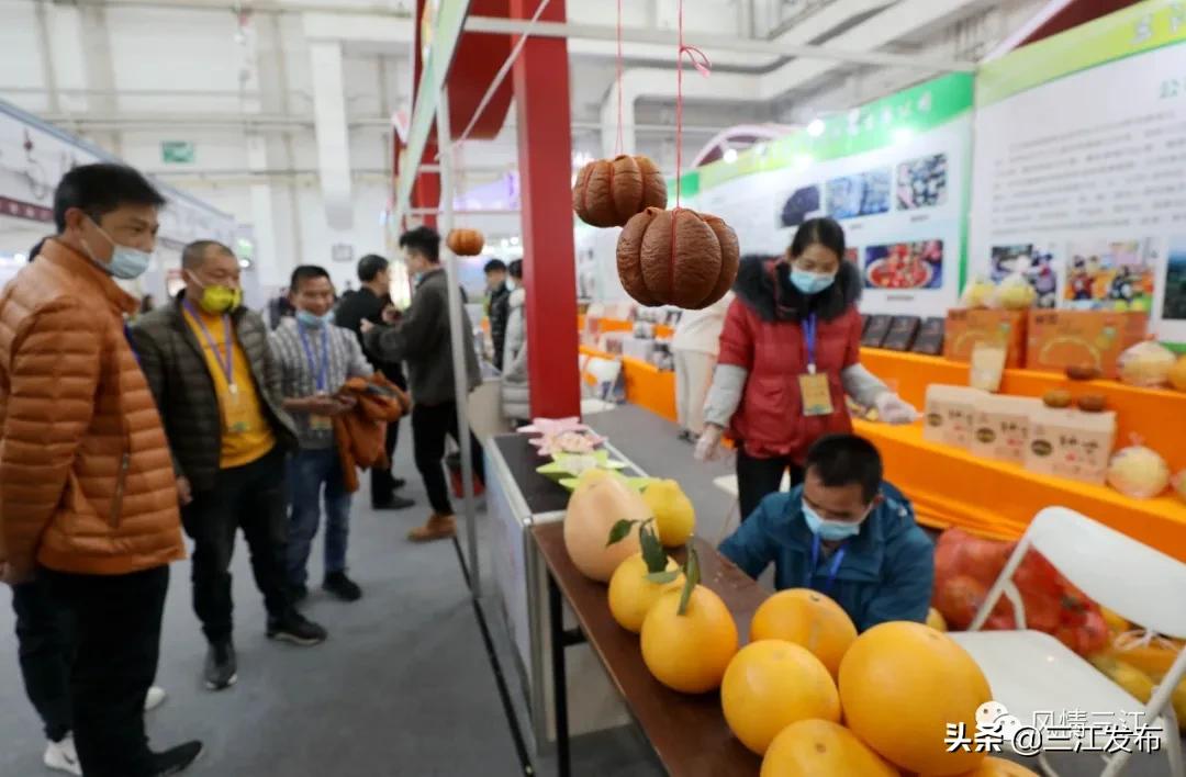 县长变身主播助力农产品销售,县长变身主播推销农特产品