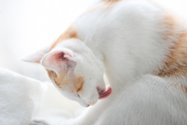 不会假白的素颜霜，涂完你也能去参加101了