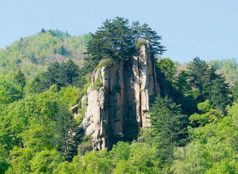 花香弥漫，云海林涛，这个小众景点真的美到让人窒息