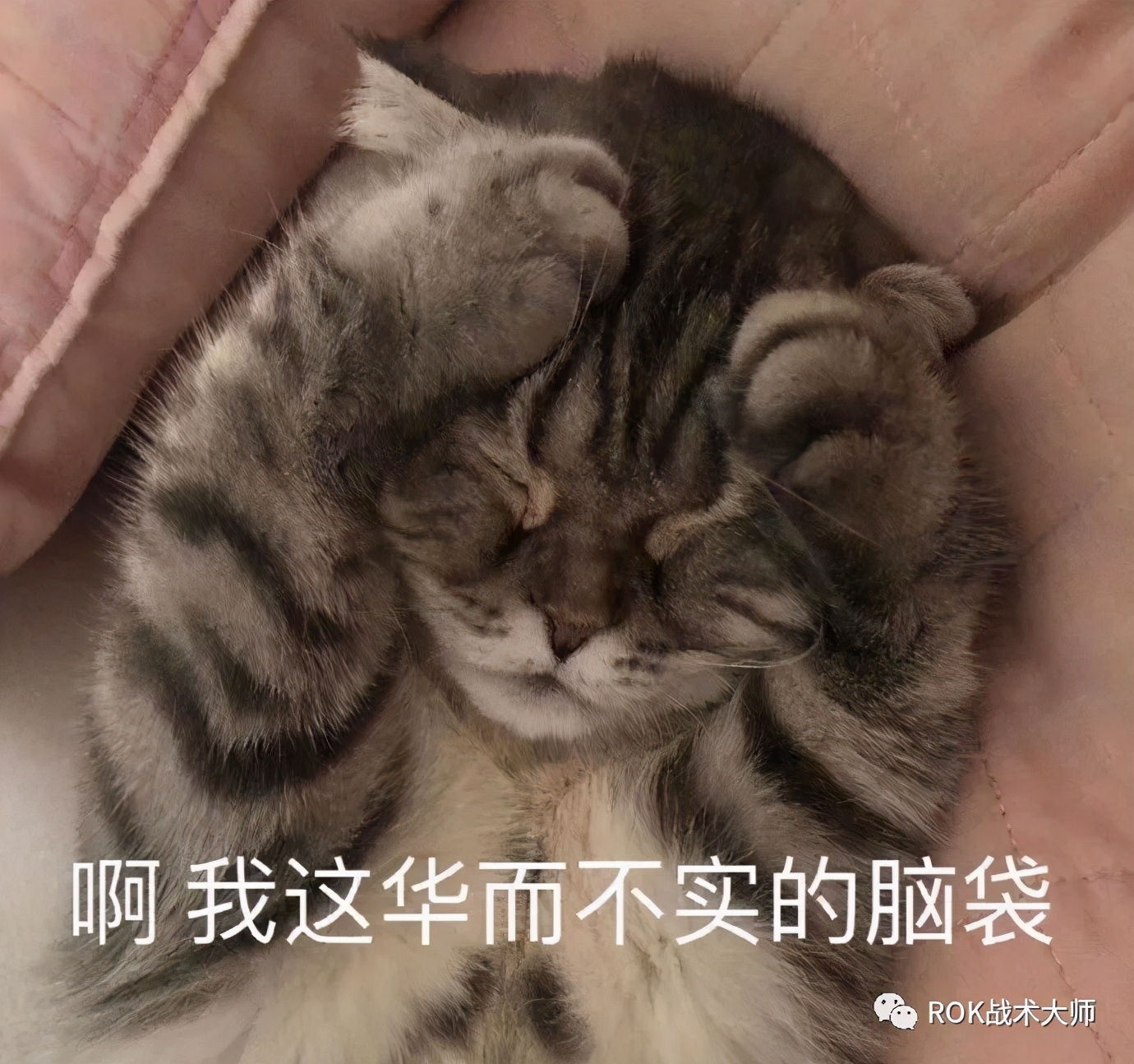 那些被忽略的宝藏车型,正统三国红色装备图纸怎么获取