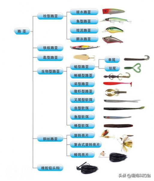 北美钓鱼入门技巧,加拿大钓鱼什么鱼饵最好