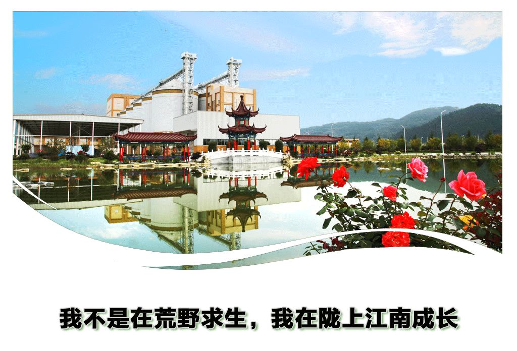 金徽酒非卖品,金徽酒哪一款最好