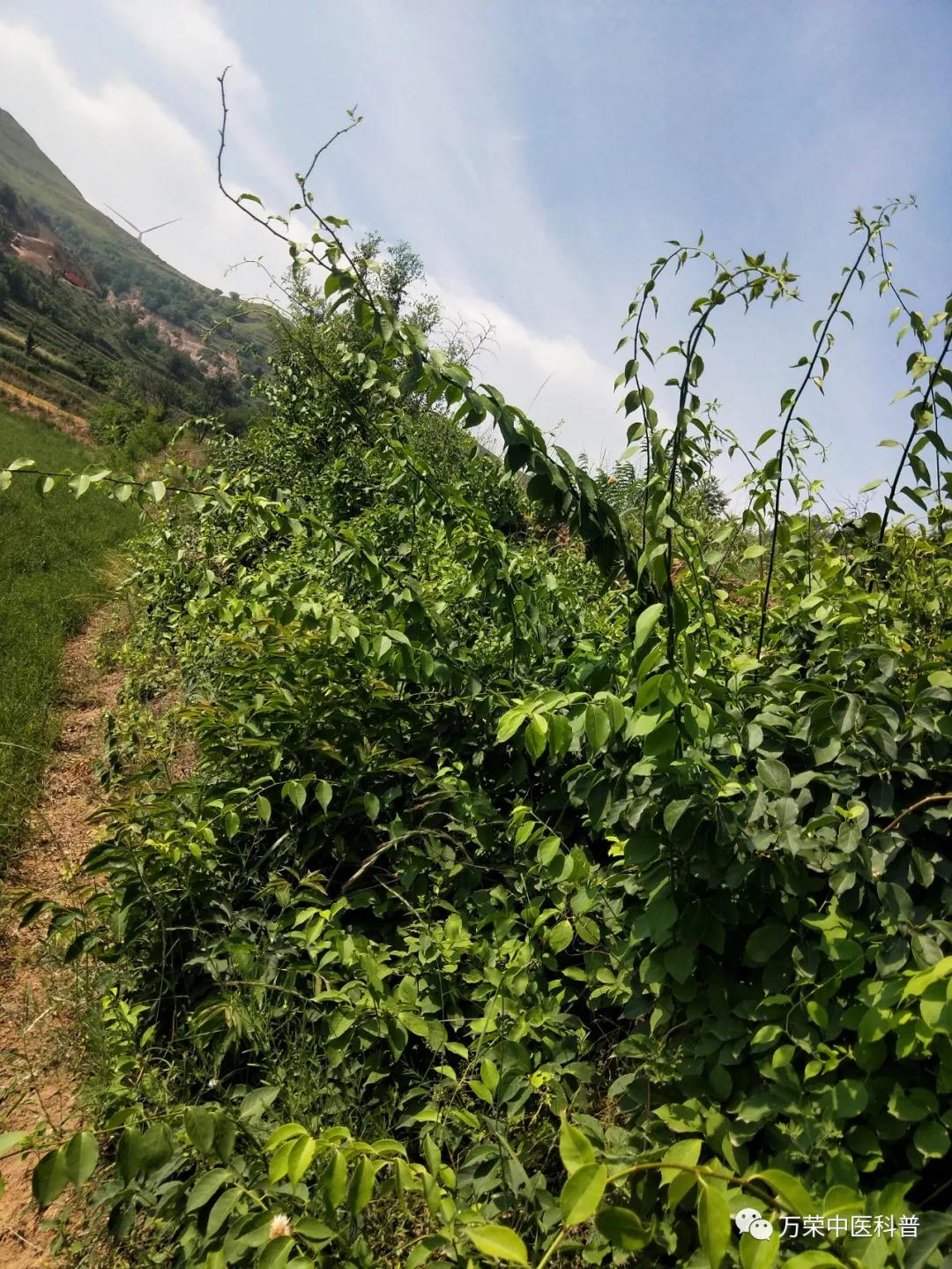 跟我回家在线免费看,跟我回家免费看