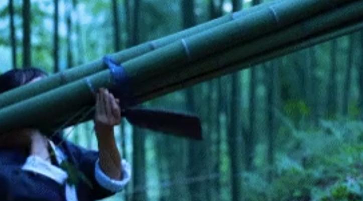 李子柒一岁辍学,李子柒七岁辍学31岁身价过亿