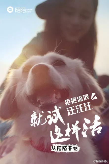 陌陌距离怎么由近变远,陌陌首页怎么变了