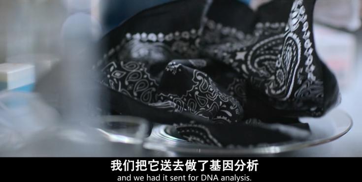 扒光他们的「黑历史」，网飞再次突破尺度