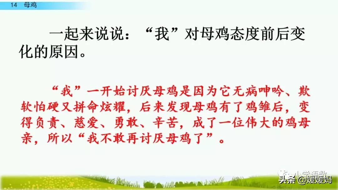 四年级下册第13课小练笔仿写母鸡,四年级下册14课母鸡的预习完整版