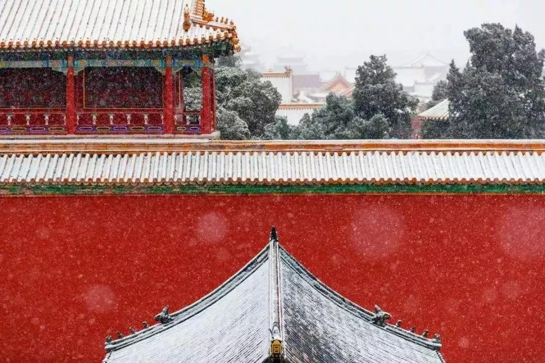 掰开珠宝设计师的脑子，看看里面有什么？