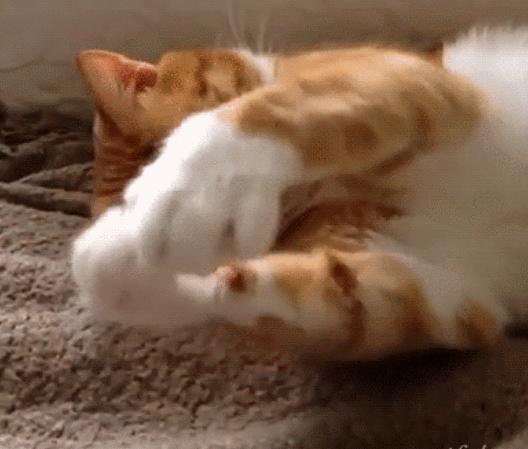 小孩过敏性鼻炎反复咳嗽怎么办,孩子过敏性鼻炎总是反复怎么办