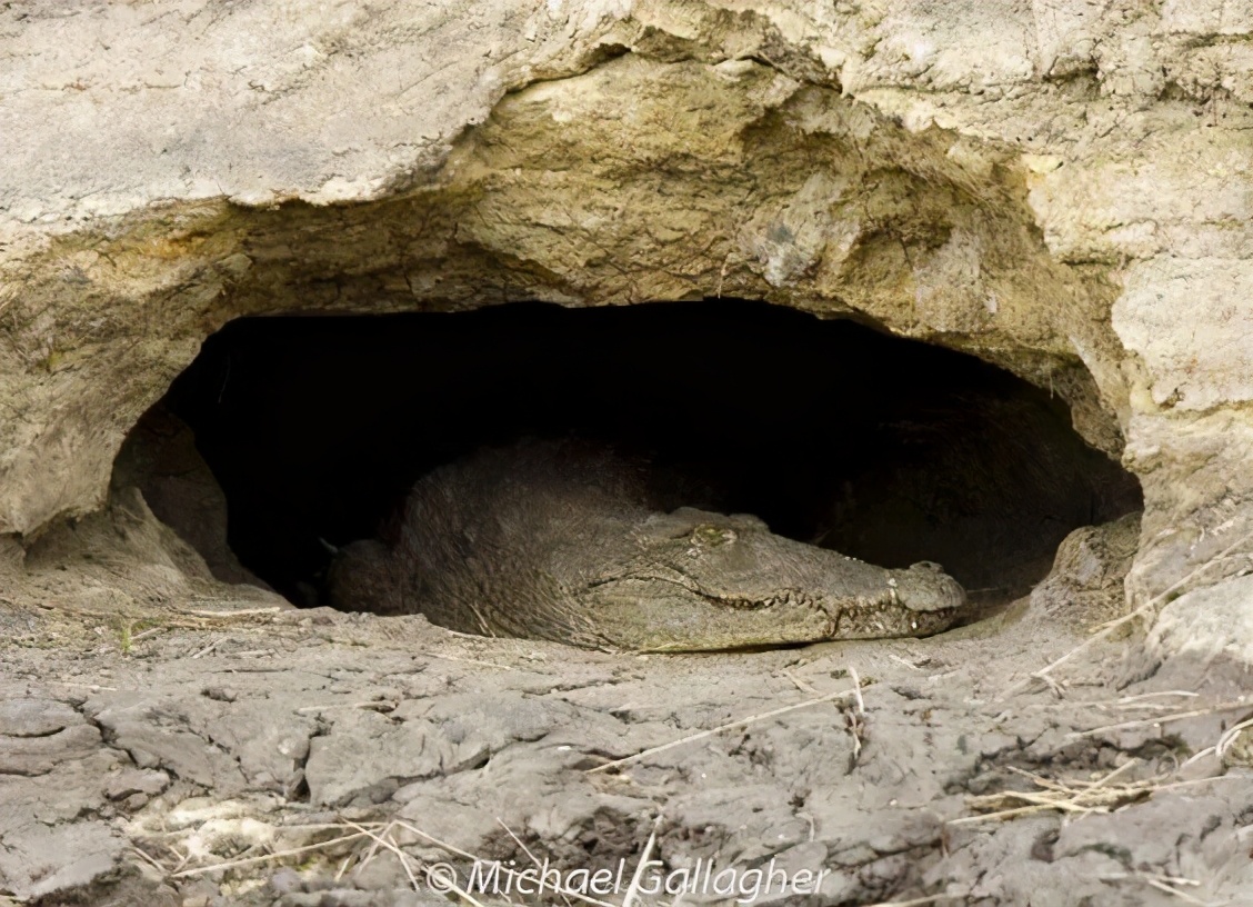 你所不了解的深海,你所不了解的地下世界