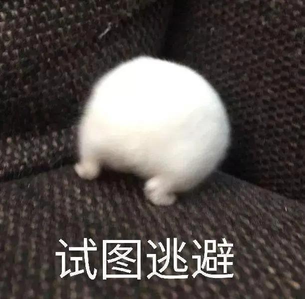 浜斿崄鍏冨氨鑳戒拱鍒扮殑蹇箰,19鍏冨氨鑳戒拱鍒扮殑蹇箰