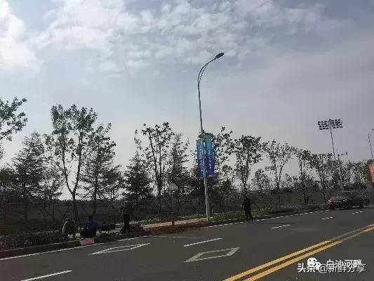 白沙湾足球基地比赛,2016哥德杯青少年足球赛开幕式