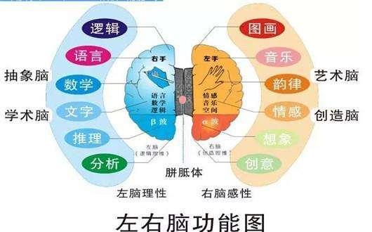 记忆心理学案例加原理,企业管理与心理学案例