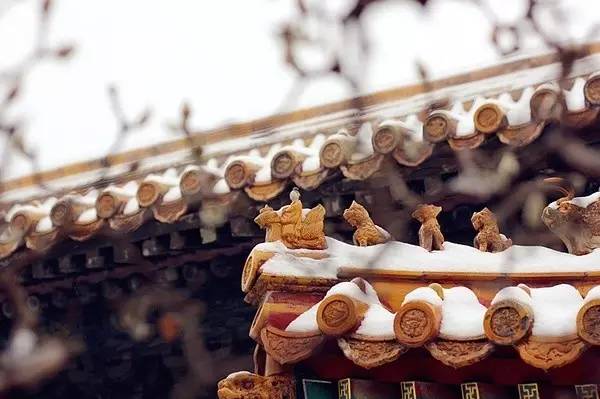 等待一个人来一场说走就走的旅行,等一个人陪我去秋天的腾冲