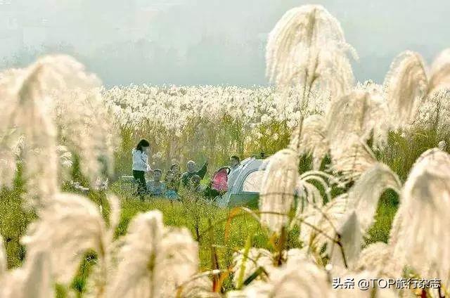 长沙竟隐藏着这些世外桃源,其实长沙还藏着很多小众景点