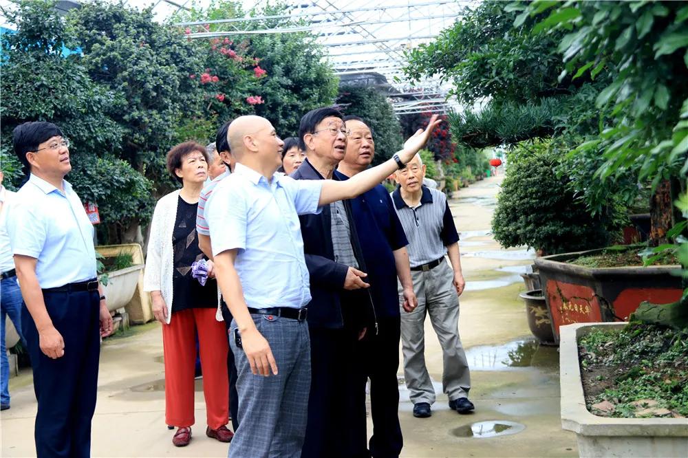 中国沭阳国际花木城在哪个城市,沭阳花木城的发展