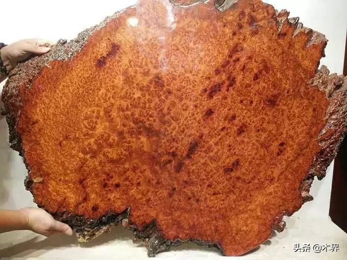 天然瘿木手串极品图片,极品缅甸花梨瘿木直播