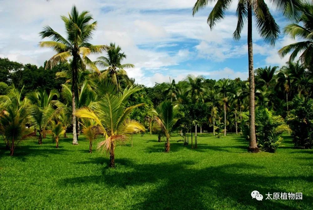 国庆黄金周｜开启植物园奇趣畅游之旅
