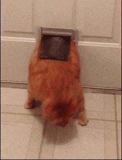 那些年我买吉他被坑的钱，都够四环买套房了