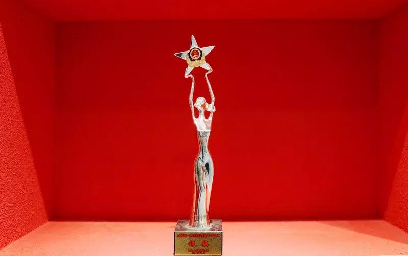 “回眸·40年”林芝公安大家庭的改革开放之荣誉篇（四）