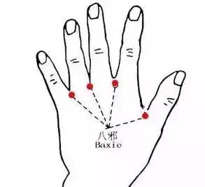 中老年穴位拍打养生操教学视频,帮助睡眠的60分钟穴位拍打操