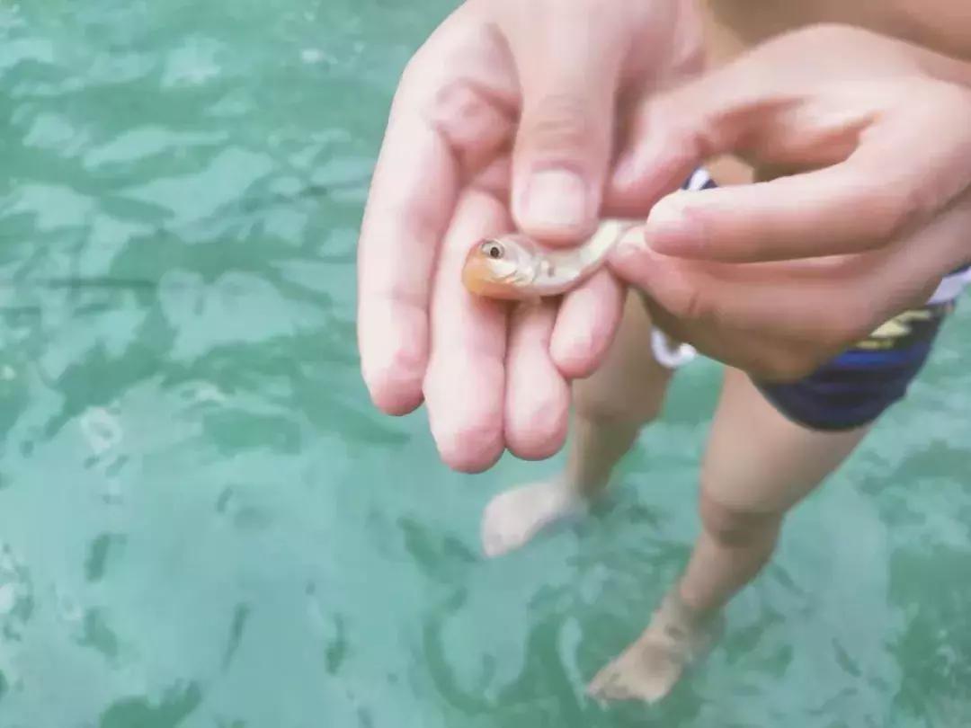 博远大型主题泡泡趴活动圆满完成