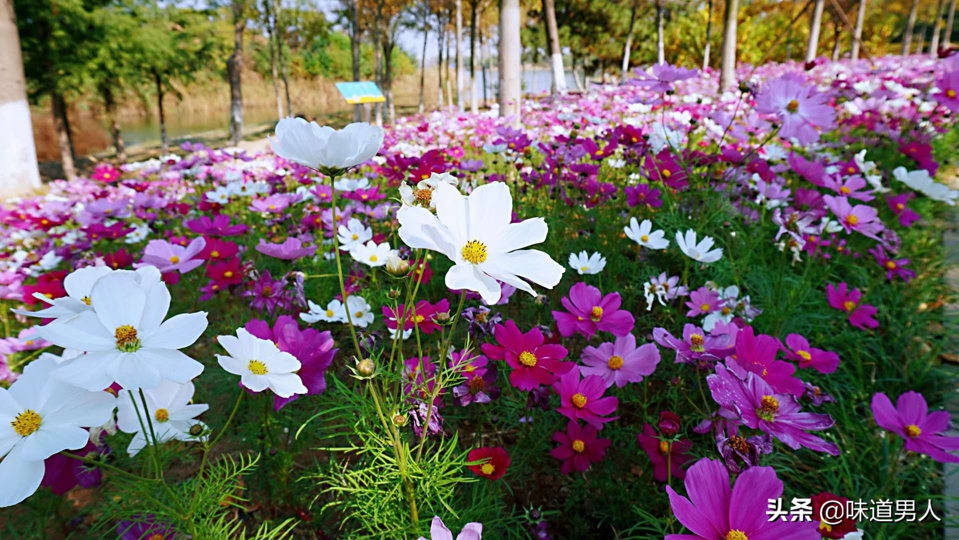 孩子进入大学后家长应该怎么做,孩子在学校说想家了怎么回答