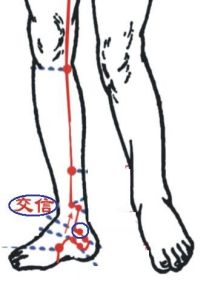 每日一穴承扶穴,每日一穴三阴交穴