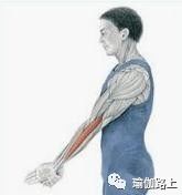 打通胳膊经络锻炼动作和方法,手臂经络不通松解法教程