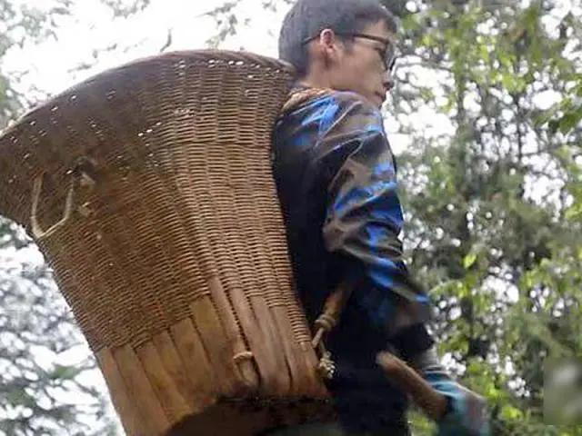 对不起今年我高三,不好意思我高三了表情包