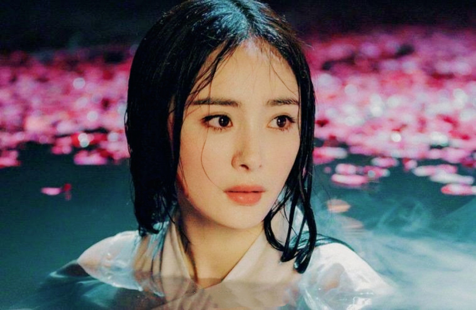 杨幂当年被黑得有多惨,杨幂所经历的血雨腥风