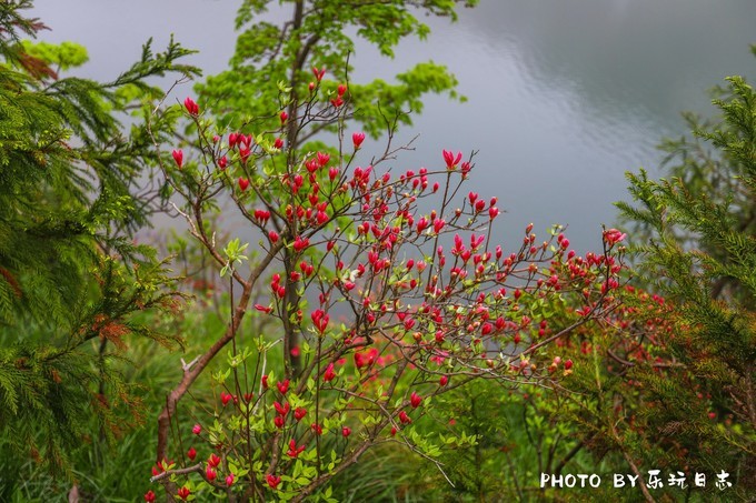 天柱山畅游,天柱山亲子游攻略