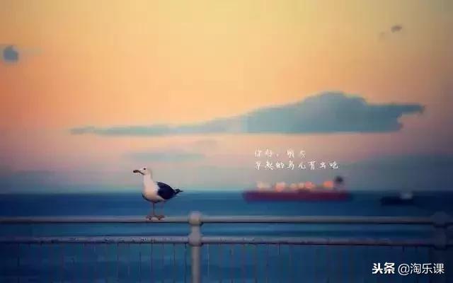 小升初语文基础题答题技巧归纳,初中语文阅读理解答题技巧和模板