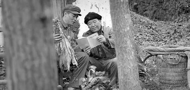 一个草根农民的走红之路,一个草根的农民的走红之路