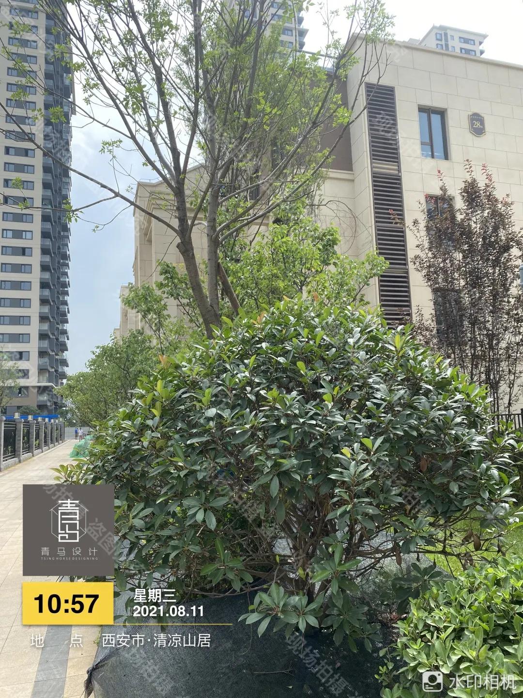 清凉山居130平跃层,清凉山居2018年开盘