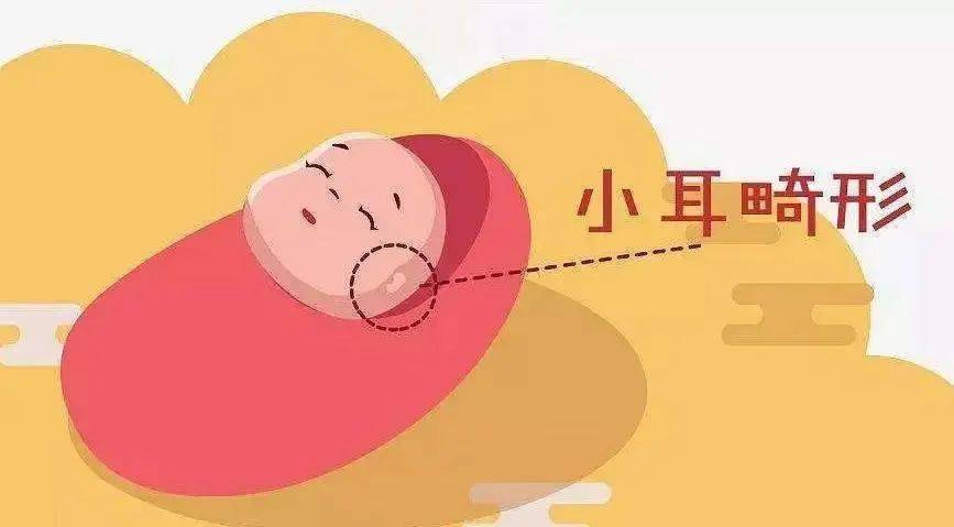 孩子六岁了父母应该注意哪些,小耳畸形的孩子要生吗