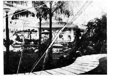 番禺区市桥美丽华大酒店,美丽华大酒店现状