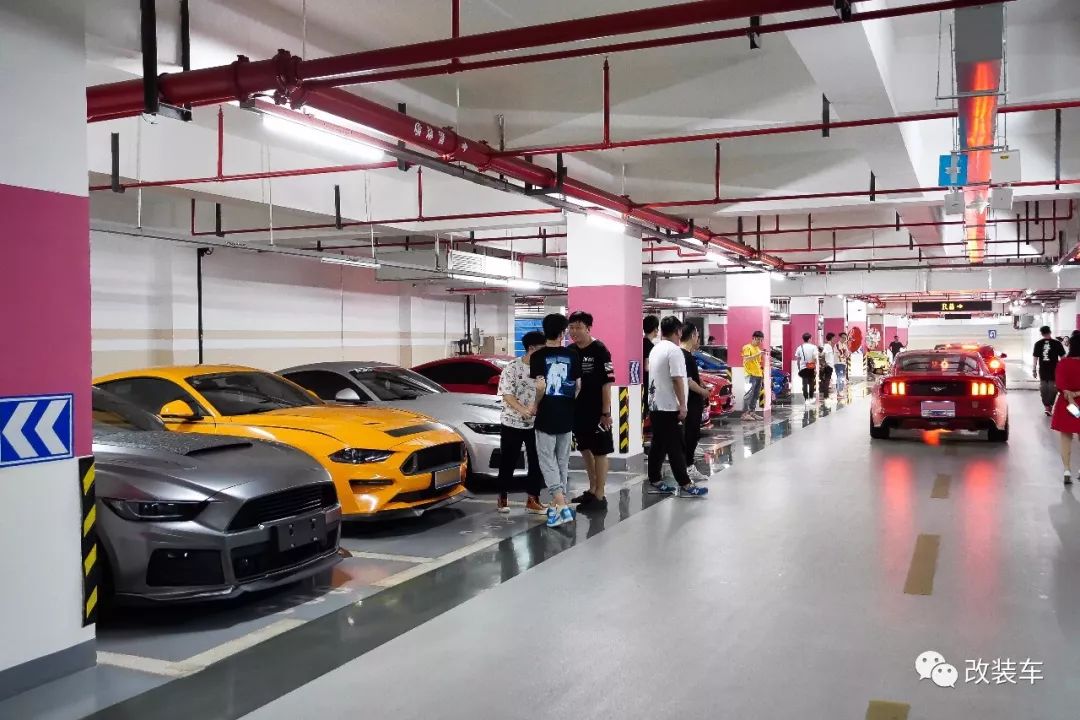 福特mustang杭州,杭州福特野马车友会