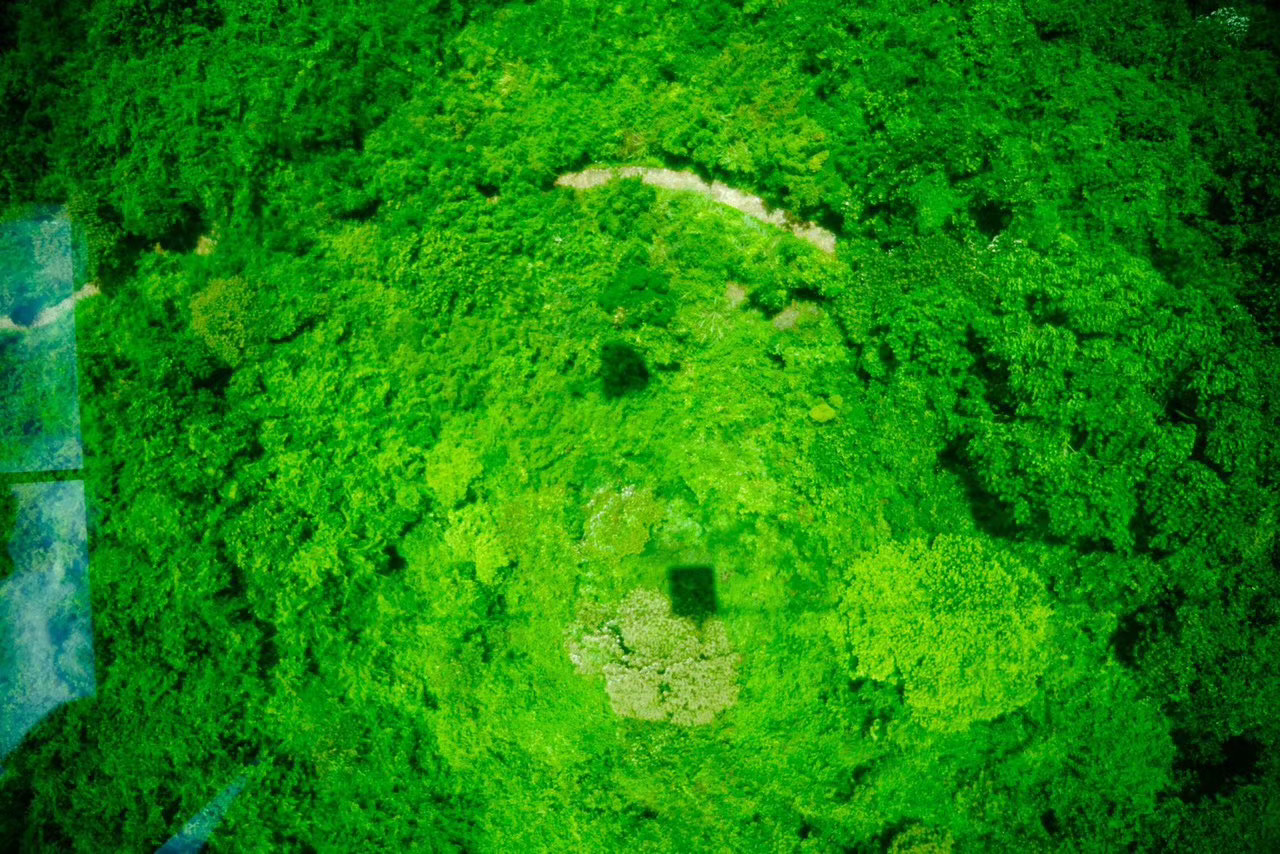 香港的购物天堂在哪里,玩转港澳游景点