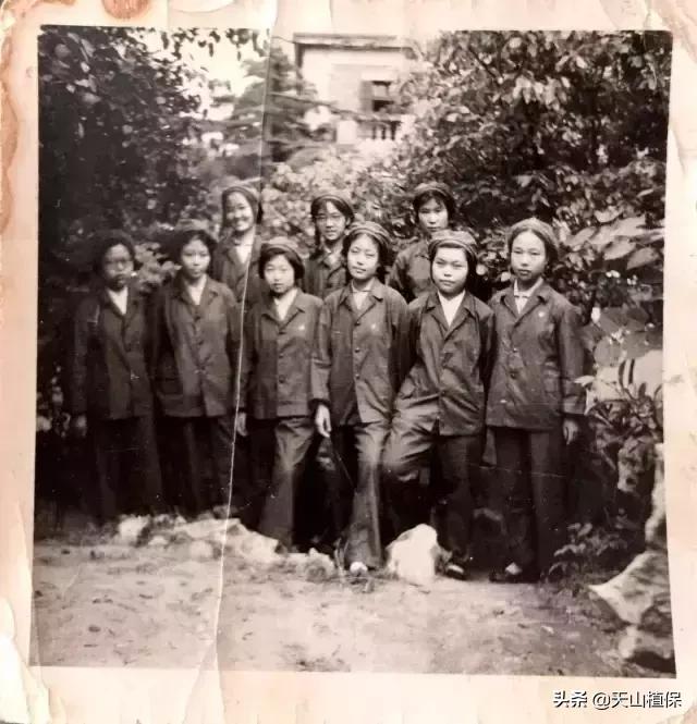 伟大的新疆,伟大的阿勒泰